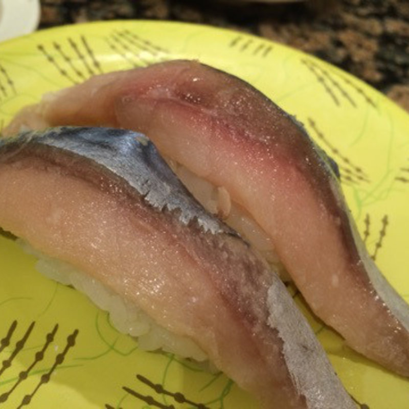 シメサバ(根むろ花まる)