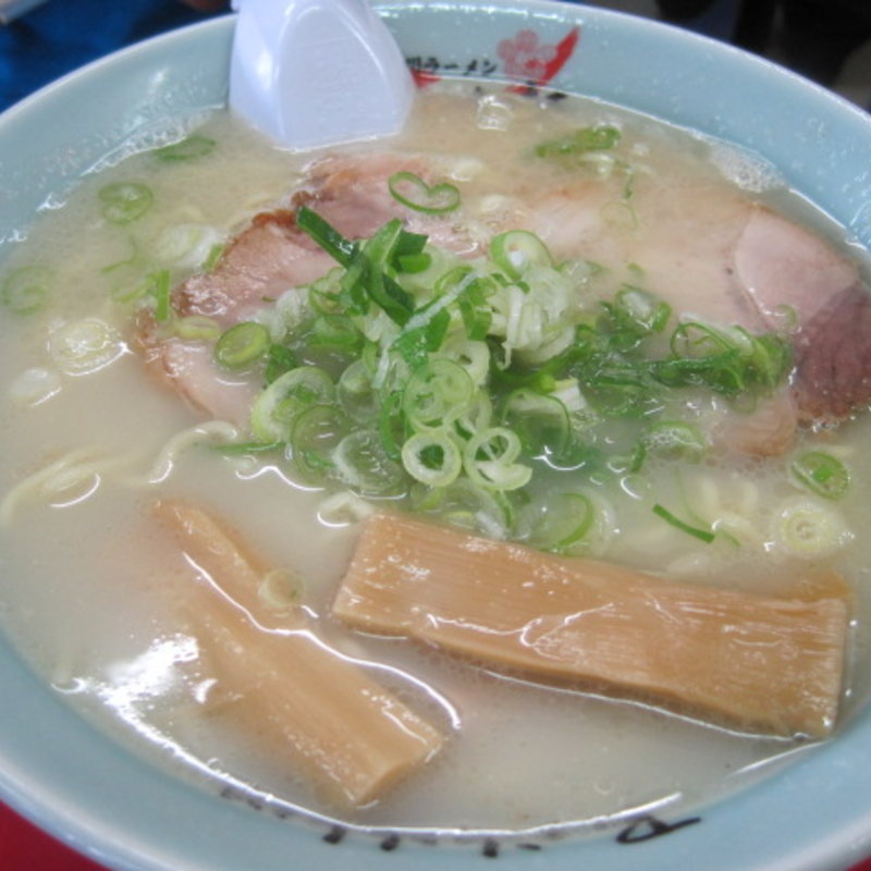 塩ラーメン(旭川ラーメン 梅光軒 旭川ラーメン村店)