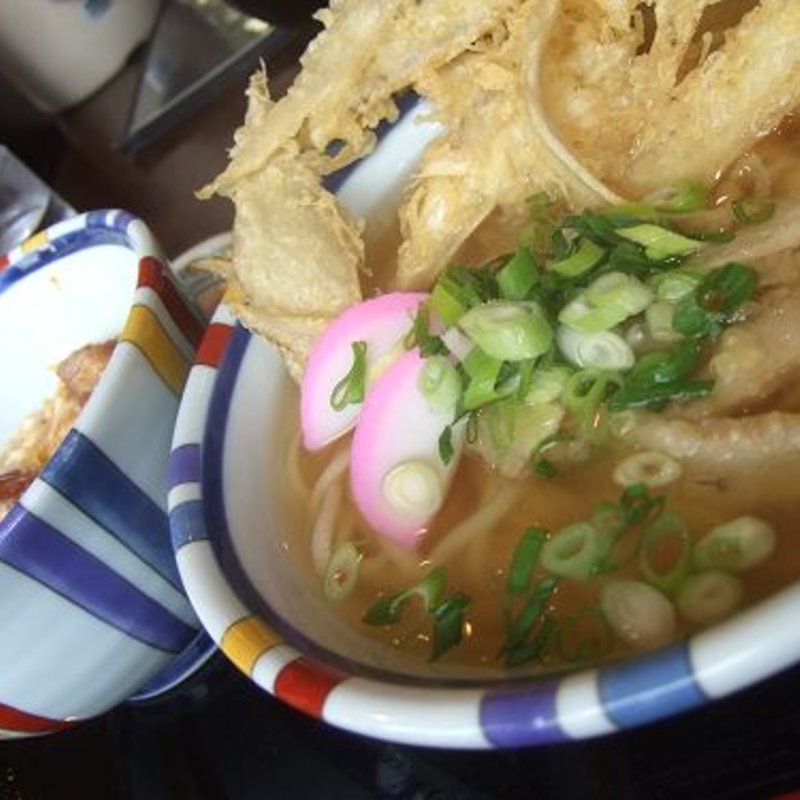 ごぼ天うどん(練り込みうどん権)