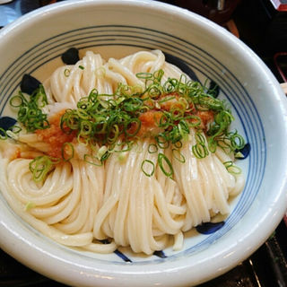生醤油うどん(江戸堀 木田)