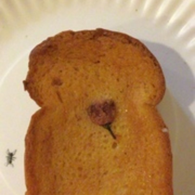 桜ロイヤルブレッドの桜香るハニートースト(生蕎麦 浅野屋 本店)