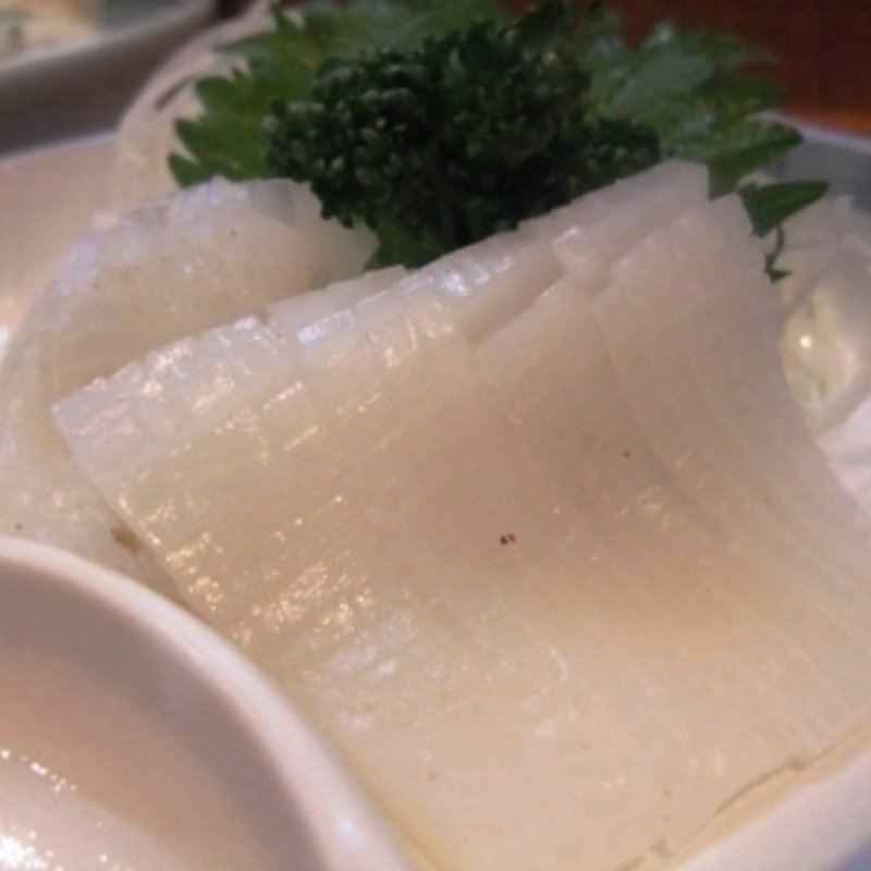 アオリイカ(長崎チャンポン 浜浪)