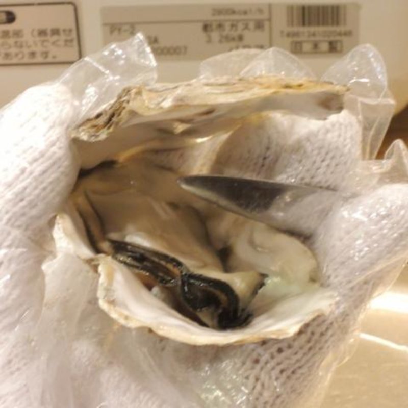 カキのがんがん焼き(浜焼きセンター カキ小屋 札幌場外店)