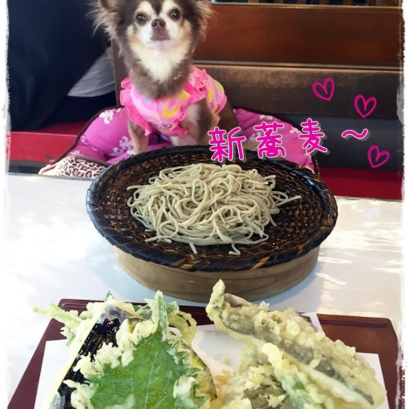 新蕎麦(湧水 （ゆうすい）)