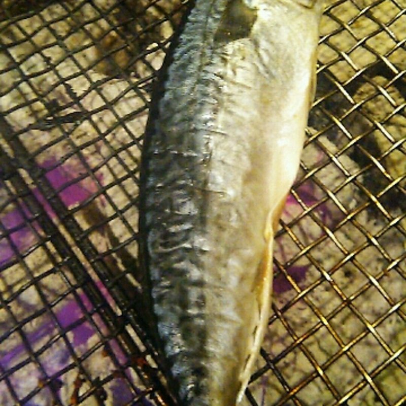 ホエー鯖(炉ばた煉瓦 （ろばたれんが）)