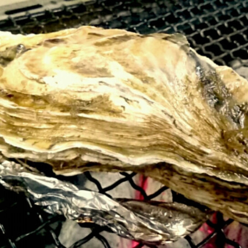牡蠣(炭火焼倶楽部)