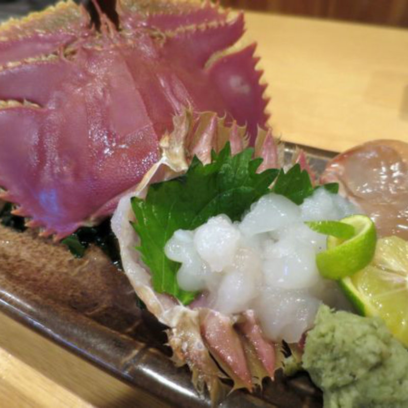 ウチワエビのお造り(炭火焼鳥　たくま )