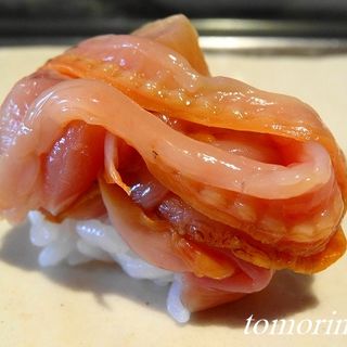 赤貝のヒモ(熱海一寿し )