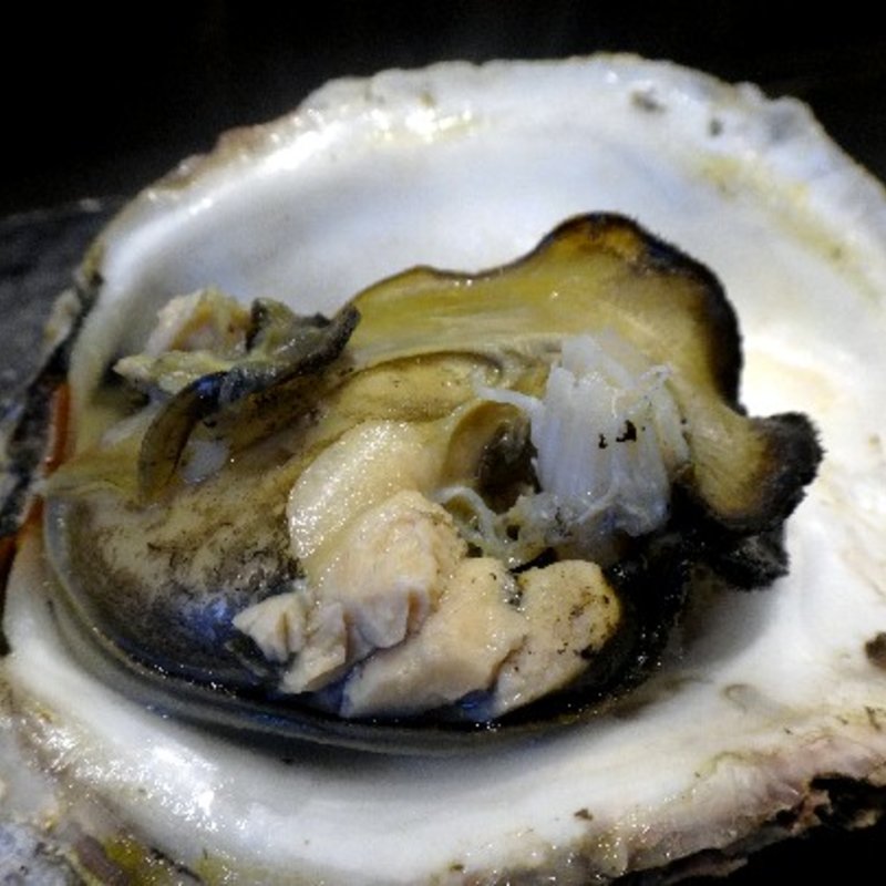 蒸し岩ガキ(牛と豚)