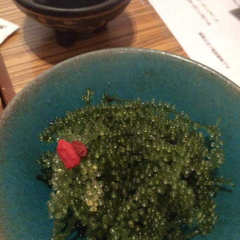 海ブドウ(琉球ＢＩＯてぃーあんだ)