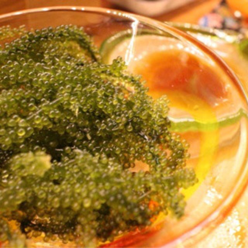 活き 海ぶどう(おきなわ食彩ダイニング 琉花)