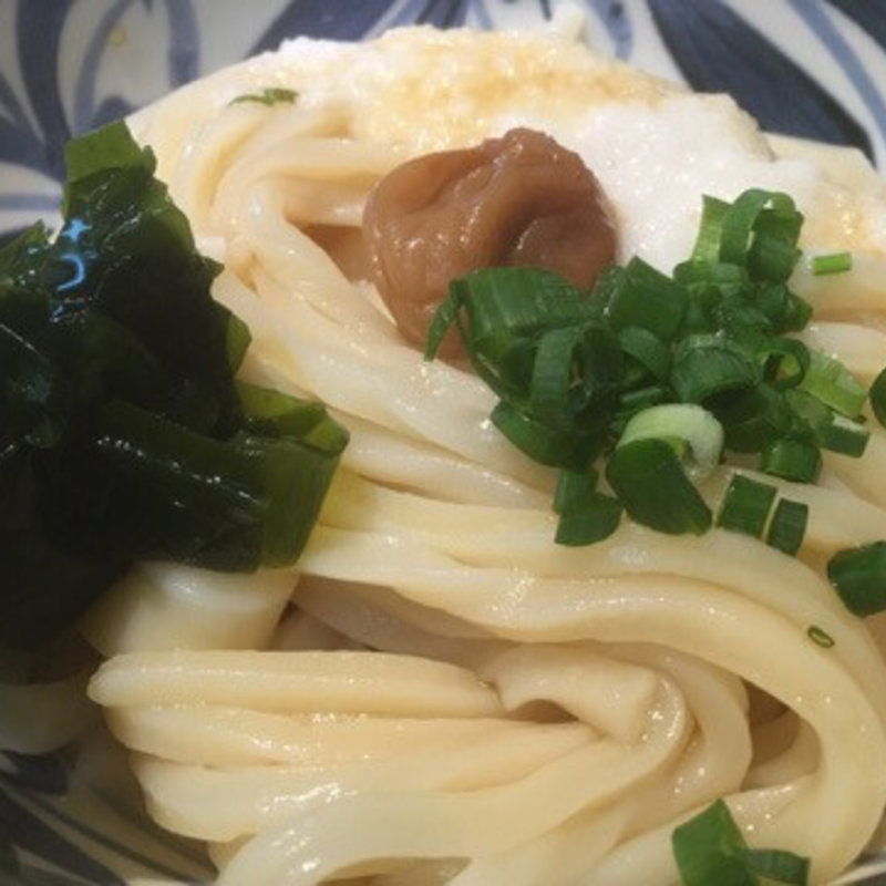 梅とろろうどん(田)