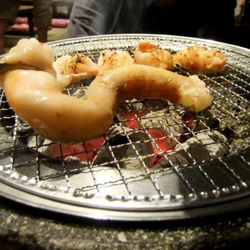 腸1本焼き(博多七輪炭火焼肉・もつ鍋田中ホルモン)