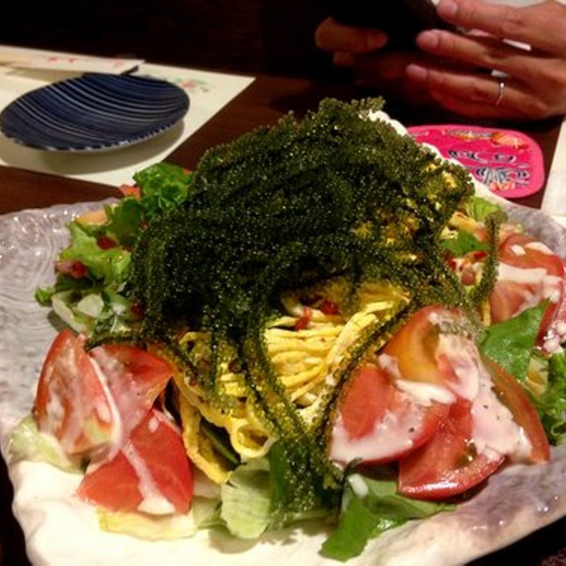 海ブドウのサラダ(由ら花)