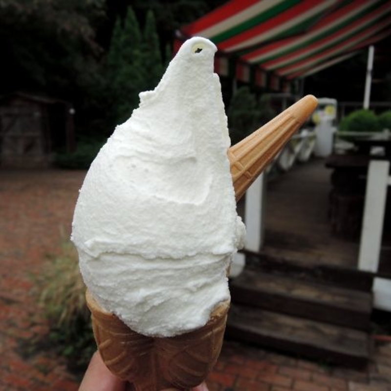 シングルコーン搾りたてミルク(町田あいす工房 ラッテ 相原店 （LATTE）)