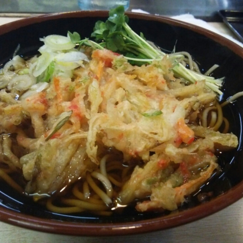 天婦羅蕎麦(白樺)