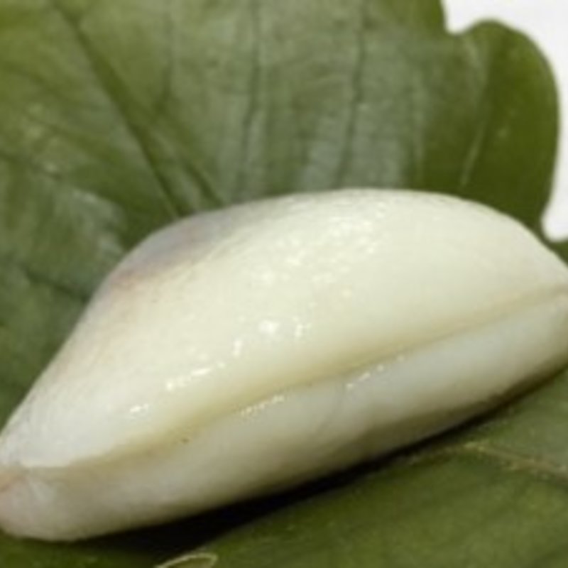 かしわ餅(白水堂 )