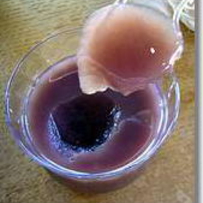 水羊羹(石舟庵 川奈店 （せきしゅうあん）)