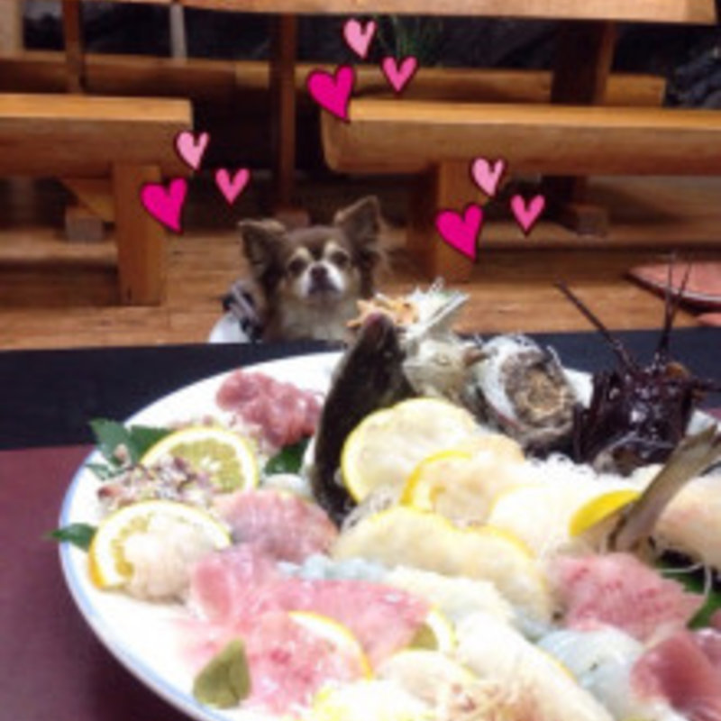 おまかせ盛り(磯料理赤沢丸昌 )