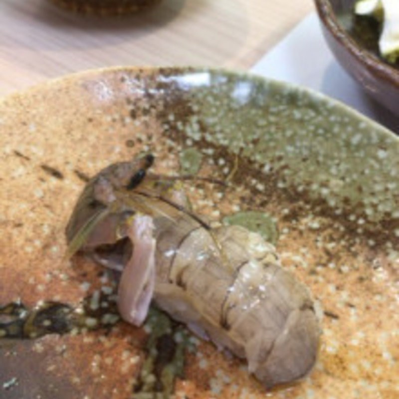 生しゃこの握り(福すし)