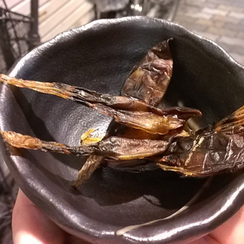 ホタルイカ素干し(日本酒のめるとこ （【旧店名】酒々）)