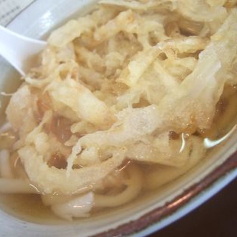 ごぼう天うどん(笹うどん)