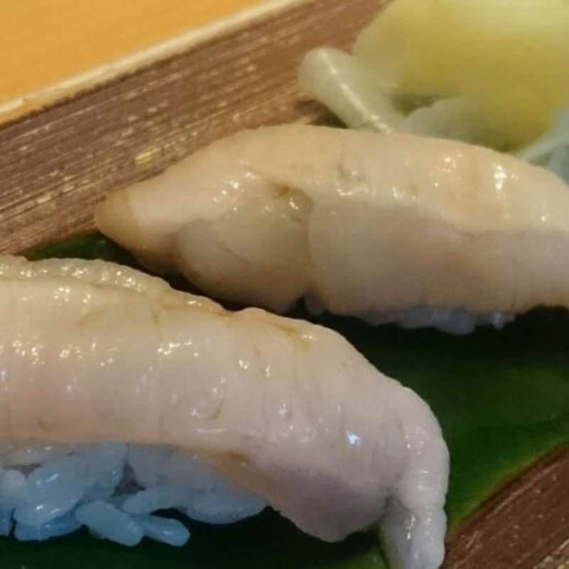 エンガワ(築地きたろう （【旧店名】樹太老 東銀座）)