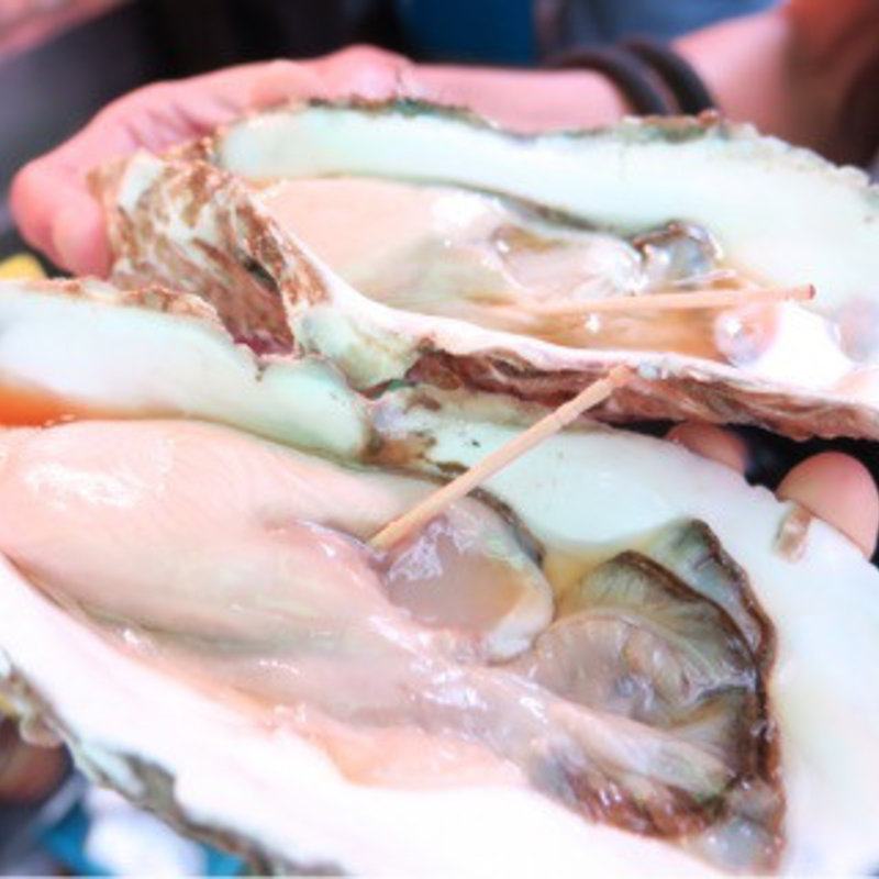 牡蠣(築地虎杖　魚河岸千両 （うおがしせんりょう）)