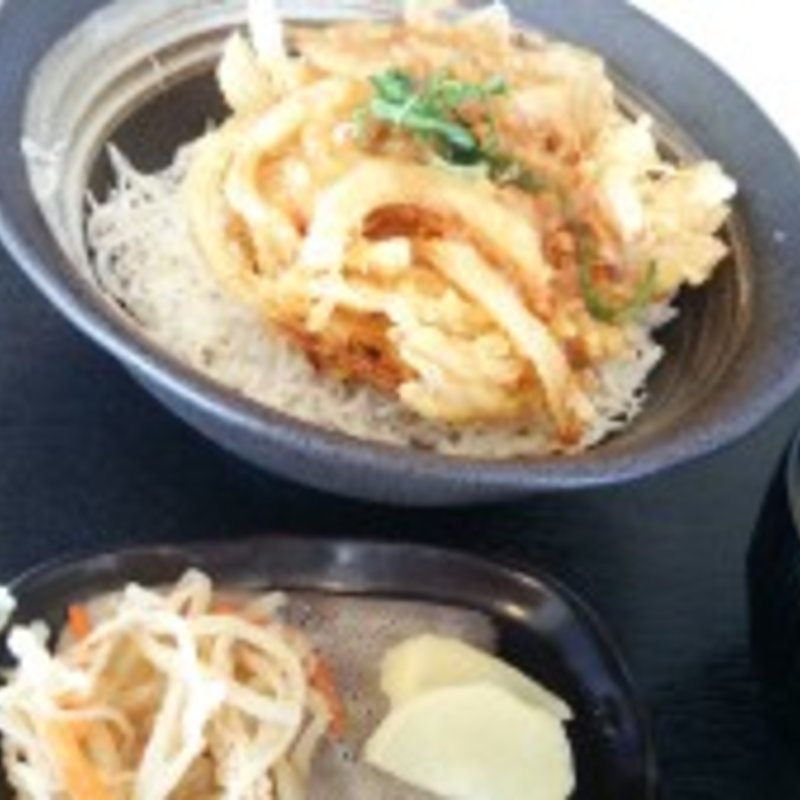 しらすかき揚げ丼セット(紀宝町ウミガメ公園お食事＆喫茶コーナー )