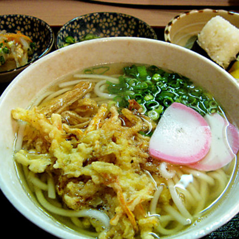 細うどんの定食+野菜天ぷら(細うどん 多庵 )