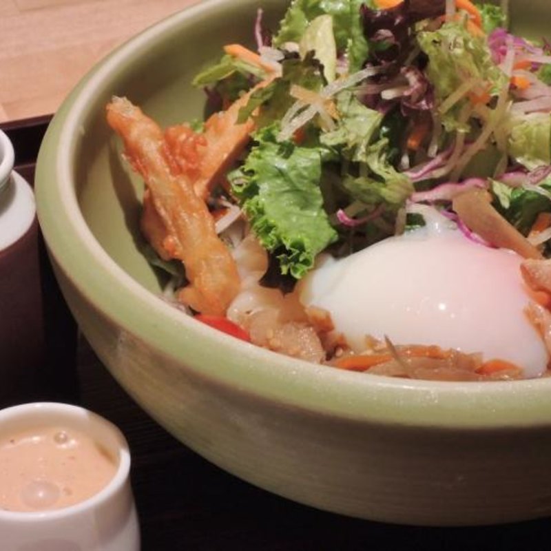 鶏ごぼうサラダうどん(結玉 二子玉川店)