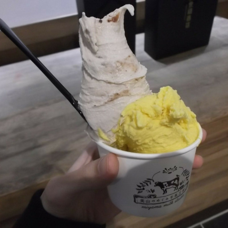 ジェラート・カップダブル（かぼちゃ・ラムレーズン）(美山のめぐみ牛乳工房)