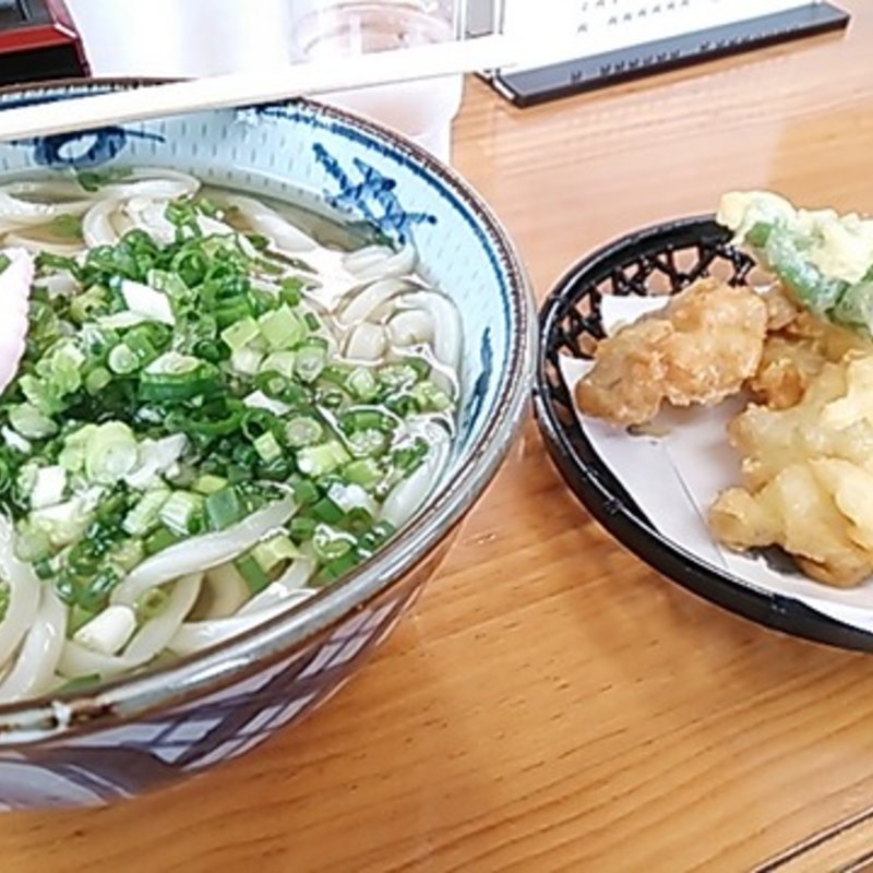 かけうどん(羽立 （はりゅう）)