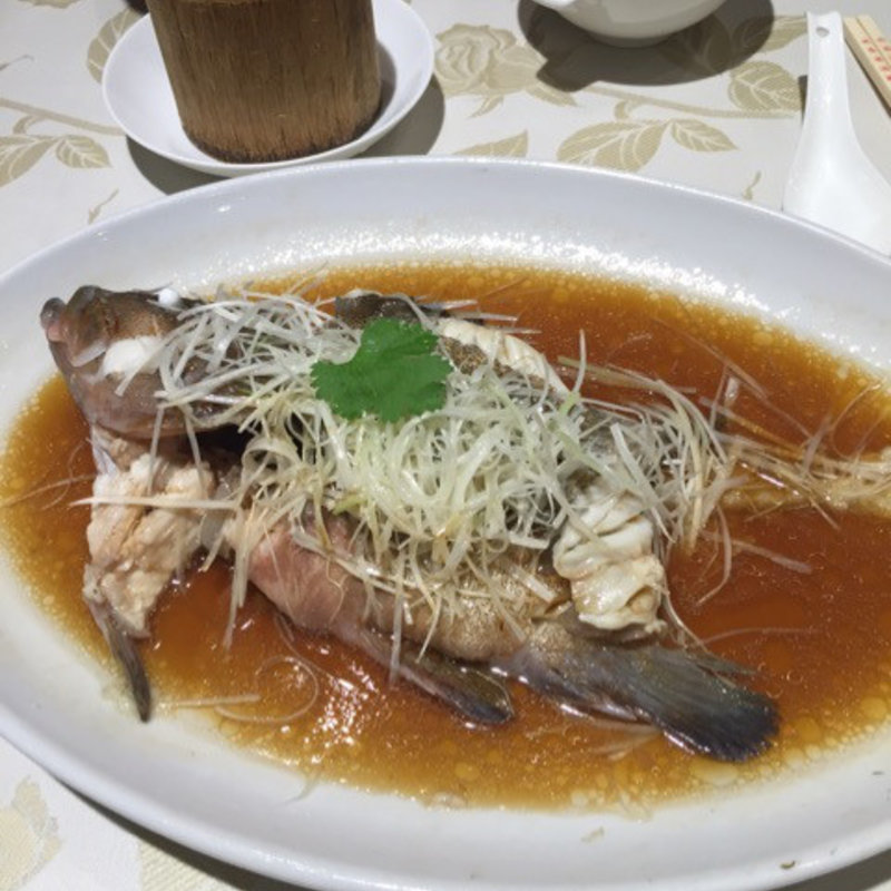 アコウ（蒸し物）(老香港酒家京都 （オールドホンコンレストランキョウト）)