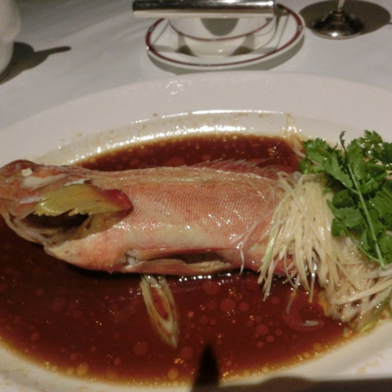 ハタの姿蒸し(聘珍樓 横濱本店)