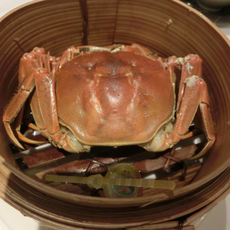 陽澄湖産上海蟹(聘珍樓 横濱本店)