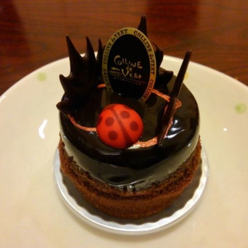 タルト・オ・ショコラ(Colline de vert ヴェールの丘)