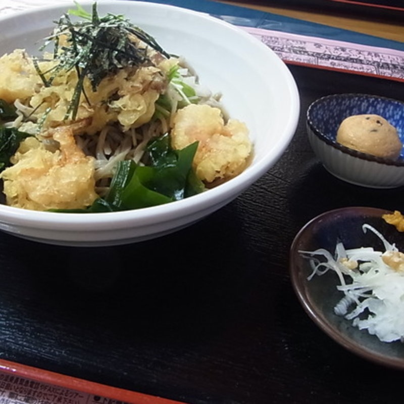 小エビ天とかき揚げ天のぶっかけそば(蕎麦五楽亭 )