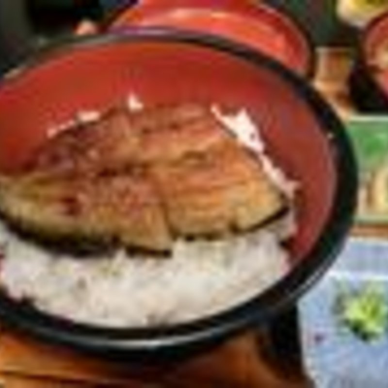 やなまぶし丼　三切れ分(観光荘 松本店 )
