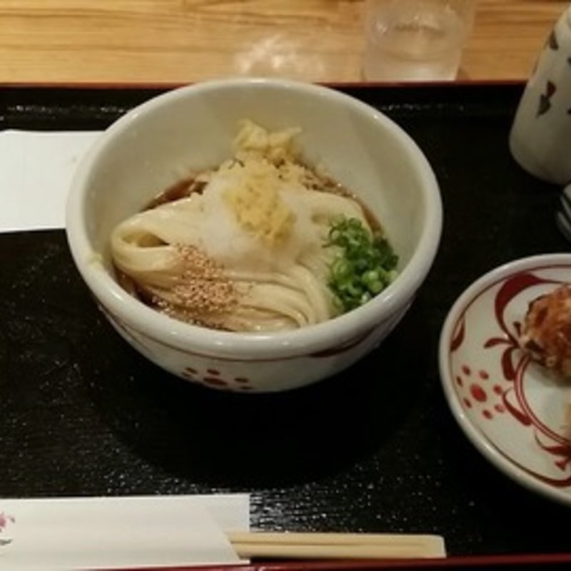 ぶっかけ（冷or温）(讃岐饂飩 根の津 （さぬきうどん ねのつ）)