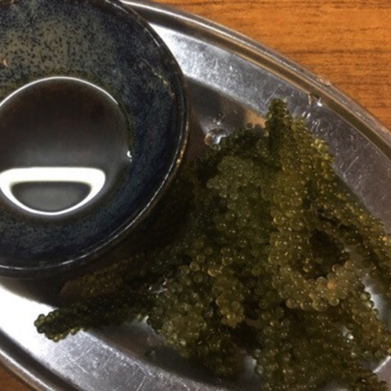 海ぶどう(豊年満作)