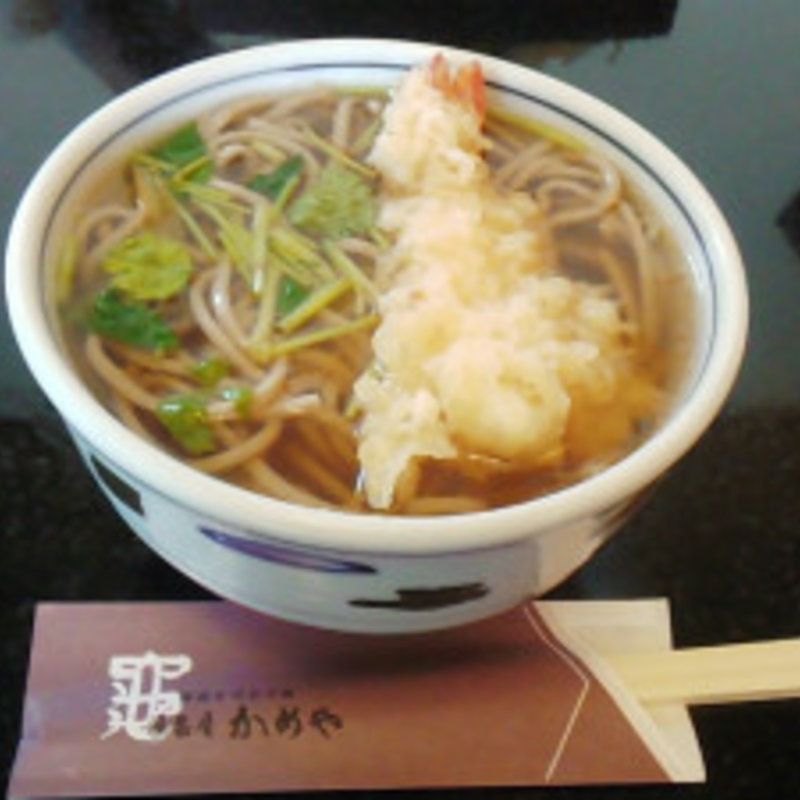 天ぷらそば(遊亀庵 かめや （ゆうきあんかめや）)