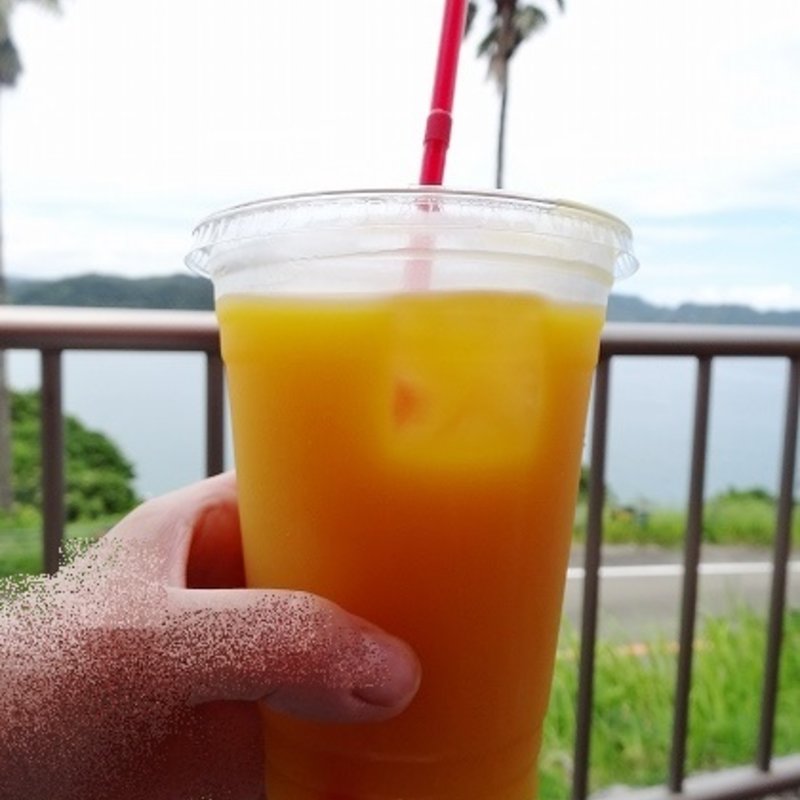 マンゴージュース(道の駅　なんごう )