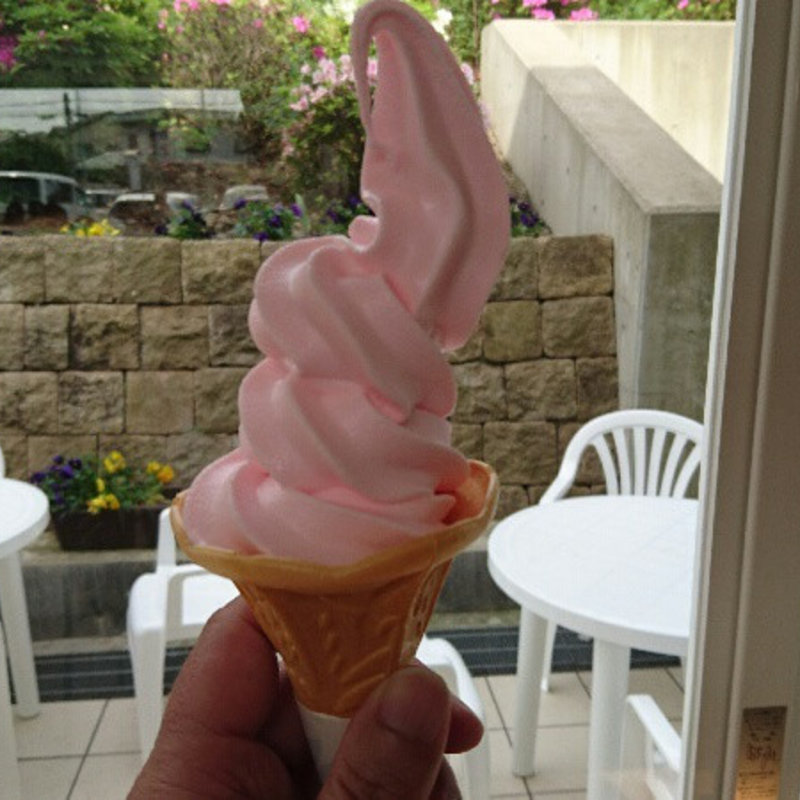 ツツジソフト(道の駅 西山公園 )