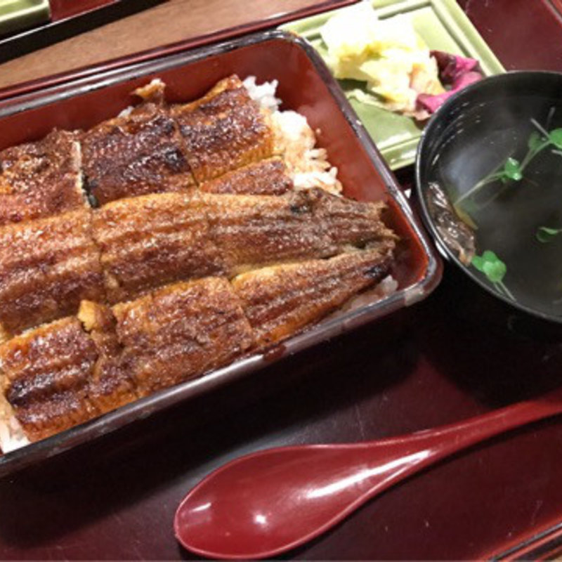 鰻重(郡上炭火焼　うなぎの魚寅 )