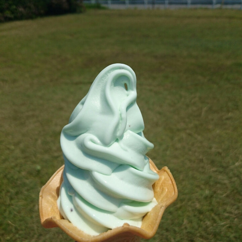 キウイソフトクリーム(お食事処そら)