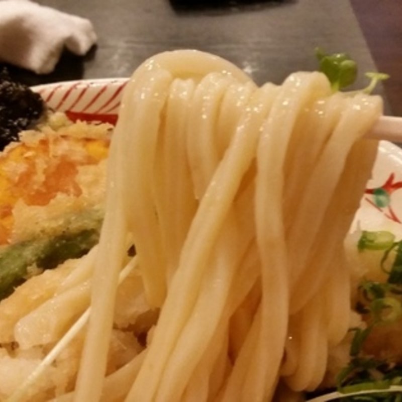 天然海老天おろしぶっかけ　冷(釜揚げうどんやしま 守口本店 )