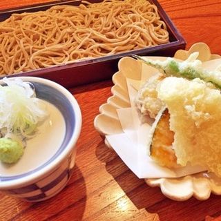 ケヤキ(鎌倉　松原庵　欅 )