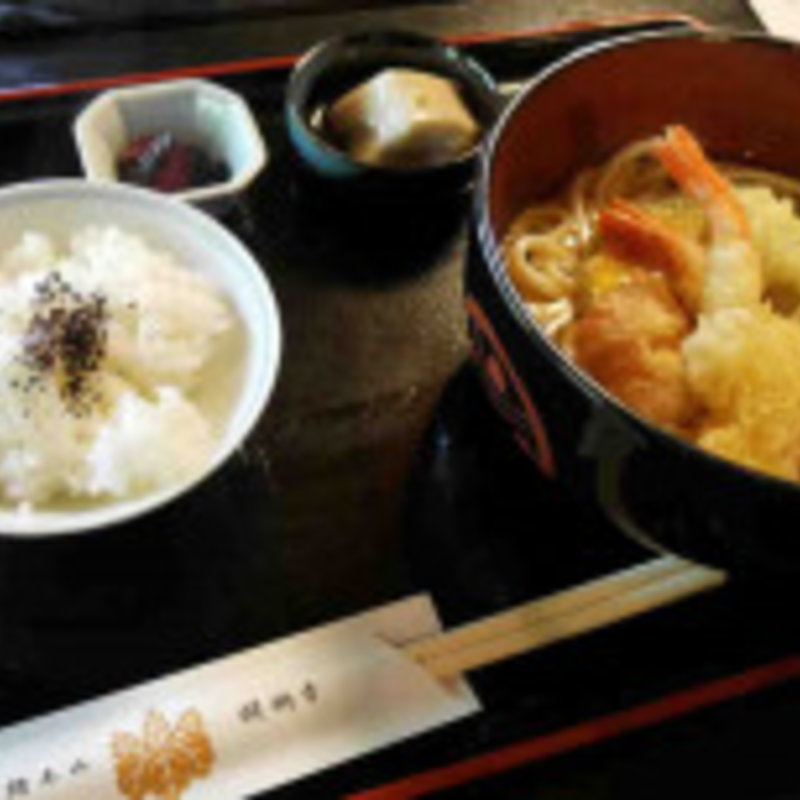 天ぷらうどんセット（胡麻豆腐付き）(阿闍梨寮　寿庵 )