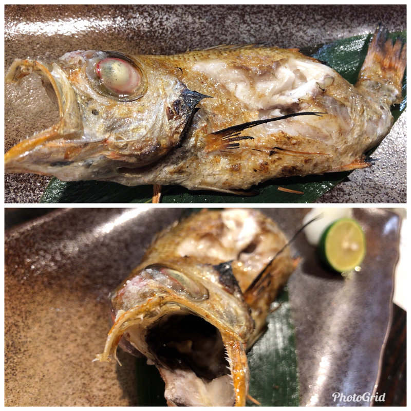 ノドグロの塩焼き(炭魚酒菜 わなか （スミサカナサカナワナカ）)